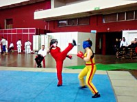 /album/fotogalljerjeja/image-2-jpg/